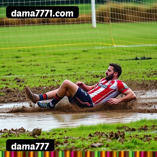 Estatísticas de bônus da dama777 em São Paulo, Rio de Janeiro e Brasília